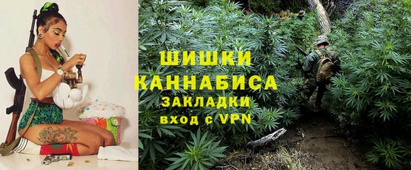 СК Аркадак