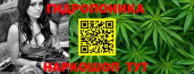 крисы Усть-Илимск