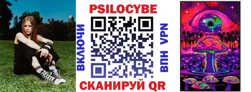 Псилоцибиновые грибы Psilocybe  omg как войти  Асбест 